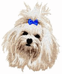 animasi-bergerak-anjing-maltese-0027