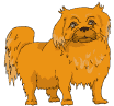 animasi-bergerak-anjing-peking-0010