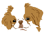 animasi-bergerak-anak-anjing-0041