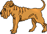 animasi-bergerak-anjing-shar-pei-0018