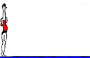 animasi-bergerak-senam-0083