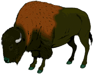 animasi-bergerak-bison-0010