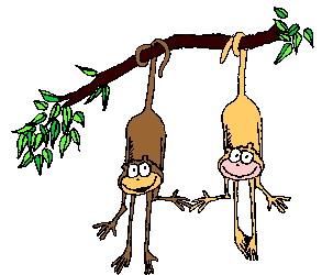 animasi-bergerak-monyet-kera-0204