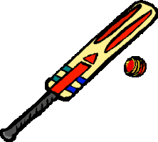 animasi-bergerak-kriket-0017