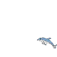 animasi-bergerak-ikan-lumba-lumba-0006