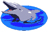 animasi-bergerak-ikan-lumba-lumba-0078