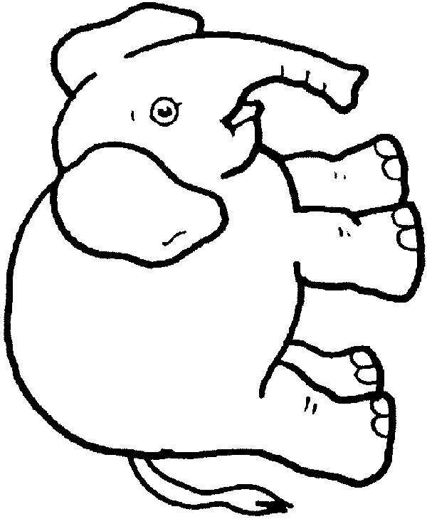 animasi-bergerak-mewarnai-gajah-0002