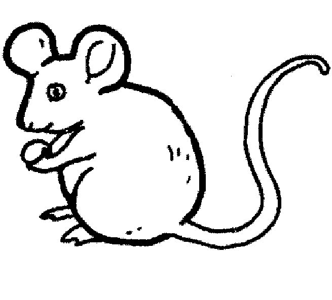 animasi-bergerak-mewarnai-tikus-0004