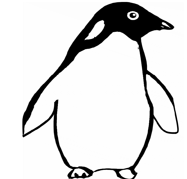 animasi-bergerak-mewarnai-pinguin-0006