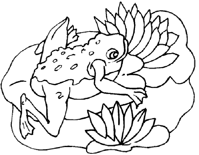 animasi-bergerak-mewarnai-binatang-hewan-0085
