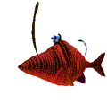 animasi-bergerak-ikan-0081