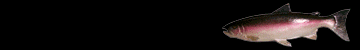 animasi-bergerak-ikan-0467