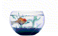 animasi-bergerak-ikan-0504