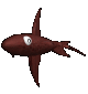 animasi-bergerak-ikan-0560
