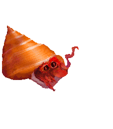 animasi-bergerak-kepiting-0080