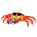 animasi-bergerak-kepiting-0082