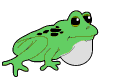 animasi-bergerak-katak-kodok-0023