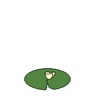 animasi-bergerak-katak-kodok-0067