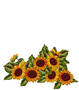 animasi-bergerak-anjing-0409