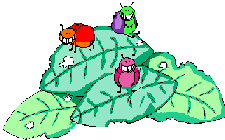 animasi-bergerak-kumbang-kepik-dan-kutu-0013