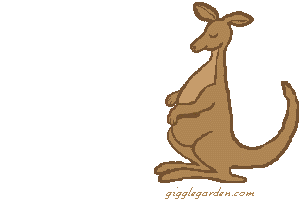 animasi-bergerak-kanguru-0017