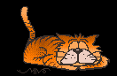 animasi-bergerak-kucing-0066