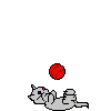 animasi-bergerak-kucing-0190