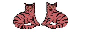 animasi-bergerak-kucing-0331