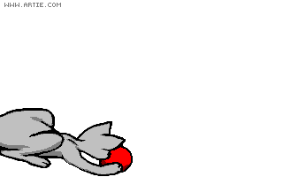 animasi-bergerak-kucing-0384