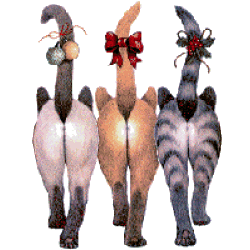 animasi-bergerak-kucing-0460