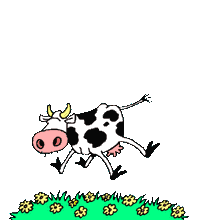 animasi-bergerak-sapi-0040