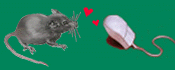 animasi-bergerak-tikus-0159
