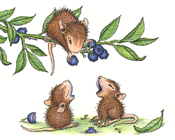 animasi-bergerak-tikus-0194
