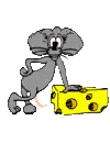 animasi-bergerak-tikus-0222