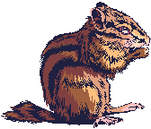 animasi-bergerak-tikus-0276
