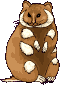 animasi-bergerak-tikus-kecil-0008