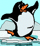 animasi-bergerak-penguin-0009