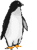 animasi-bergerak-penguin-0024