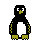 animasi-bergerak-penguin-0105
