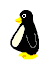 animasi-bergerak-penguin-0123
