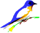 animasi-bergerak-burung-0035