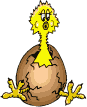 animasi-bergerak-burung-0050