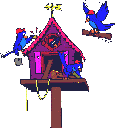 animasi-bergerak-burung-0083