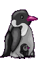 animasi-bergerak-burung-0144