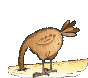 animasi-bergerak-burung-0154