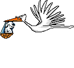 animasi-bergerak-burung-0165