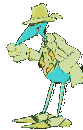 animasi-bergerak-burung-0217