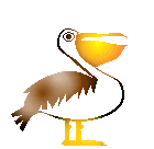 animasi-bergerak-burung-0221