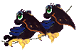 animasi-bergerak-burung-0233