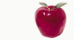 animasi-bergerak-cacing-0049